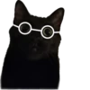 Valerian The Cat 12