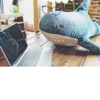 Ikea Shark 11