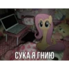 киберbulling face 21