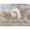 ЗАПОМНИТЕ ТВАРИ и потом напомните а то я опять всё забуду