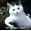 Стики 6154 из 25