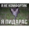 киберbulling face 24