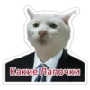 Какие Лапочки
