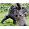 GAGAUZ 27