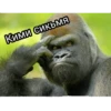 GAGAUZ 28