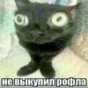 JukJPDZ_by_achestickbot 25