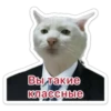 Вы такие классные