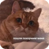 пошли покормим меня