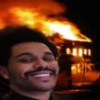 The Weeknd 29