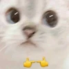 Котыки от 27