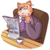 Top Dog 28