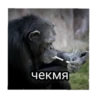 GAGAUZ 30