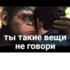 Ты такие вещи не говори