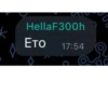 LEXUS3IS CHAT 5