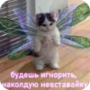 Memes 6