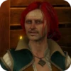 WitcherDSSP Часть 1 9