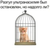 Разгул ультранасилия был остановлен, но надолго ли?