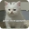 Memes 7