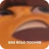 Memes 8