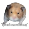 Тапаем и плачем: 10