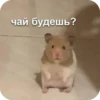 Memes 10