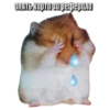 Тапаем и плачем: 12