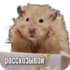 Тапаем и плачем: 14