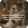 Memes 13