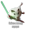 Тапаем и плачем: 15