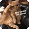 Memes 15