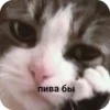 Memes 16