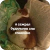 Memes 17