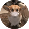 Django 6
