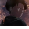 Levi 12