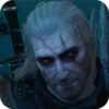 WitcherDSSP Часть 1 20