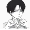 Levi 13