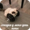 Memes 20