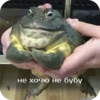 Memes 25