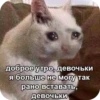 Memes 26