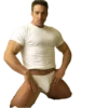 shitpostvg 22