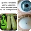 Капач2 @skripach_green | 27