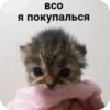 Memes 27