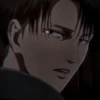 Levi 17