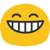 Face 30