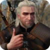 WitcherDSSP Часть 1 26