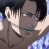 Levi 20