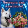 DRAfcRz_by_achestickbot 30