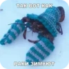 ЛYчьше стикеры - 5