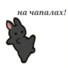 UGTNHTZICW_by_stikers_du_ark_bot 5