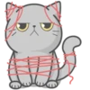 Cat Fullmoon 6